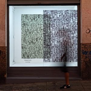 1-anna-braga-ternas-peles