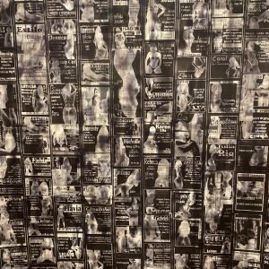 3-anna-braga-ternas-peles