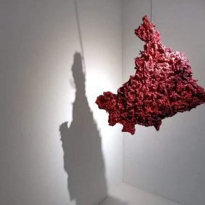 Carne Crua, Ligia Teixeira, Estudio Dezenove, 2021
