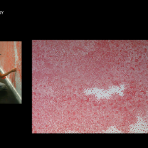 Construção e Desconstrução11