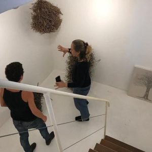 De Pedra a Pássaros6