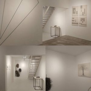 De Pedra a Pássaros7