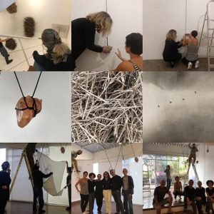 De Pedra a Pássaros8