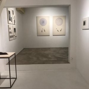 De Pedra a Pássaros9