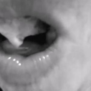 Dispositivos de Pertença6