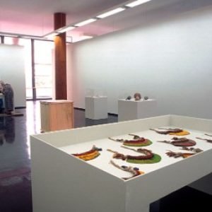 Museu de Arte Moderna (10)