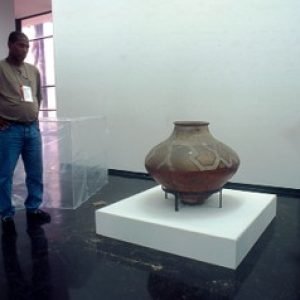 Museu de Arte Moderna (11)