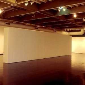 Museu de Arte Moderna (2)