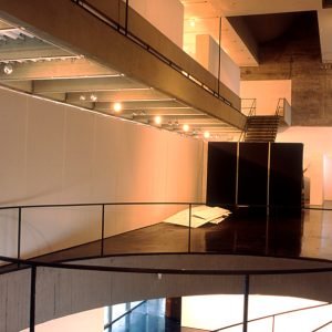 Museu de Arte Moderna (6)