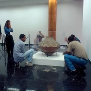 Museu de Arte Moderna (9)