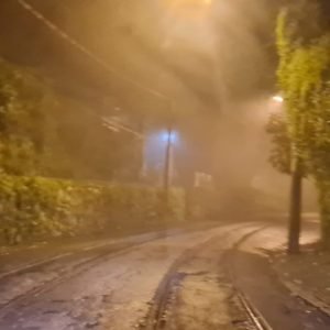 Noite úmida em mata escura2