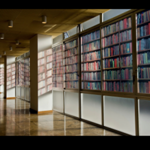 Projetos [in]provados13