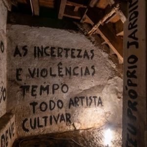 Schapiro no Jardim #23