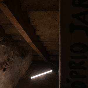 Schapiro no Jardim #23