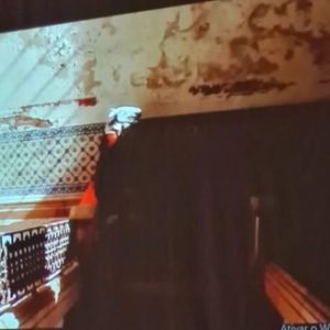 Vozes performáticas10