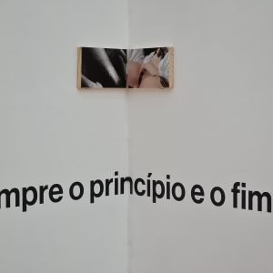 WhatsApp Image 2026-02-20 at 17.13.36