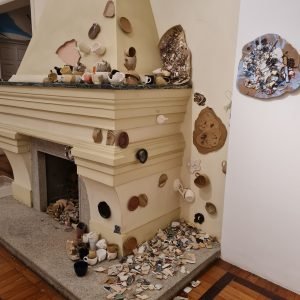 WhatsApp Image 2026-02-20 at 17.15.444