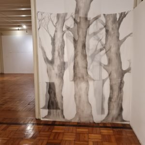 WhatsApp Image 2026-02-20 at 17.15.445