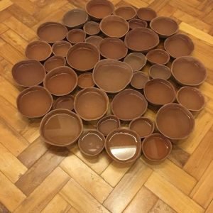 WhatsApp Image 2026-02-20 at 17.27.53 (1)