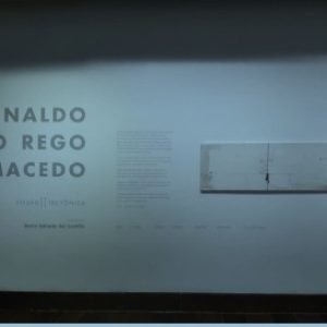 fissao tectonica curadoria (5)