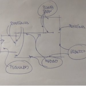 fissao tectonica expografia (1)