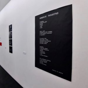 instaveis - exposições como meio (1)